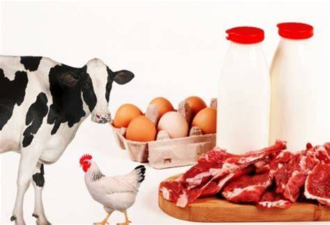 4.802 Meat poultry livestock products Video Stok - Shutterstock - raincitystudios.com