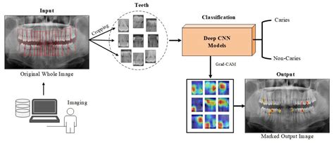 4.A Ray of Hope: Deep Learning Predictions and Positive Outlooks