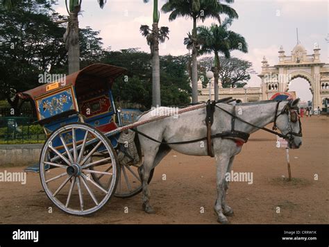 40,320 Horse Cart Images, Stock Photos & Vectors