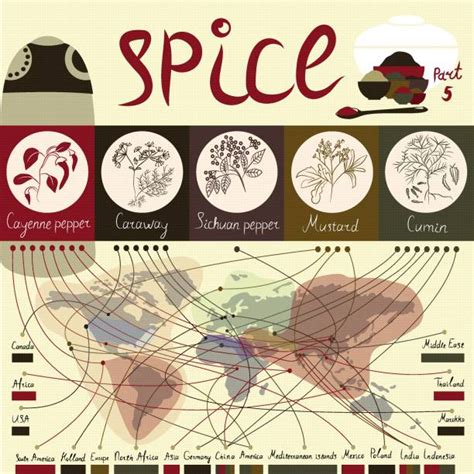 40+ Szechuan Pepper Illustrations, Royalty-Free Vector ... - iStock