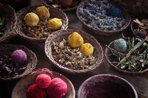 40 Common Plants You Can Forage to Dye Yarn - raincitystudios.com
