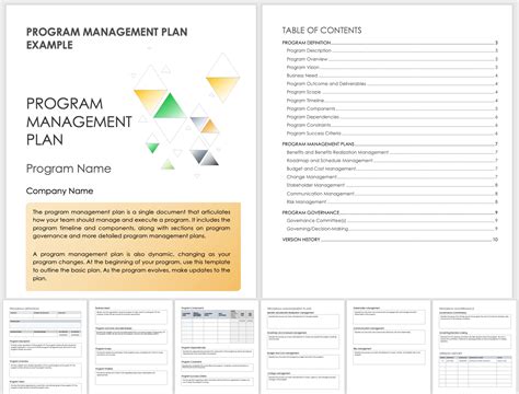 40 Program Management Plan Template in 2020 How to plan, Business