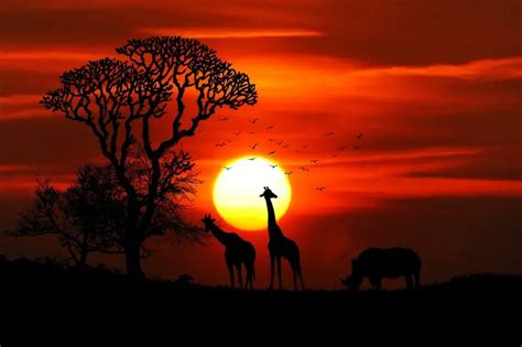 40 Sunsets in Africa ideas african sunset, gorgeous ... - Pinterest