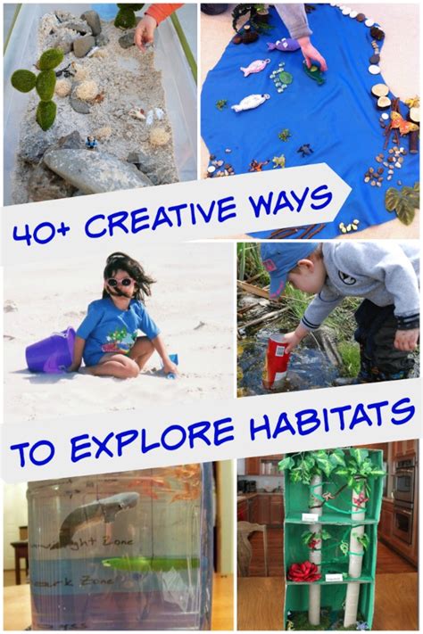 40 Animal Habitat Crafts Amp Science Project Ideas Habitat Kindergarten - Habitat Kindergarten