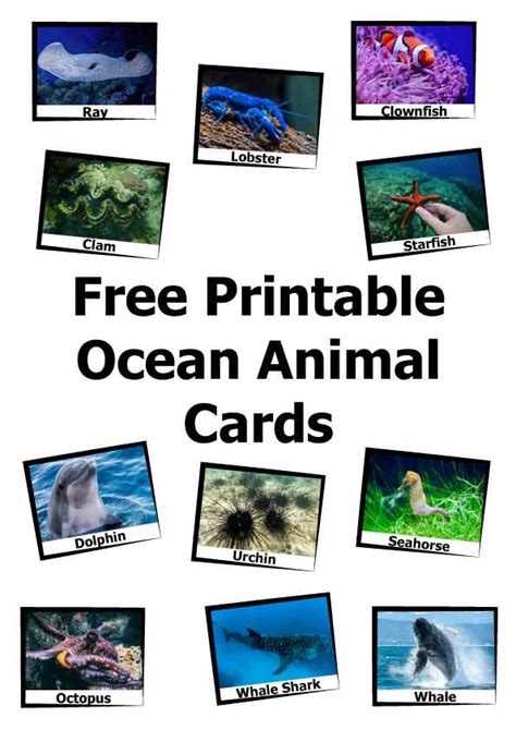 40 Free Pdf Printable Ocean Animal Cards Esl Sea Animals Pictures Printable - Sea Animals Pictures Printable