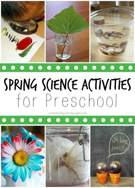 40 Spring Science Activities For Preschoolers Fun A Science Lesson Plans Preschool - Science Lesson Plans Preschool