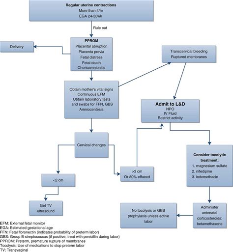 40. Drugs Used in Obstetrics Nurse Key