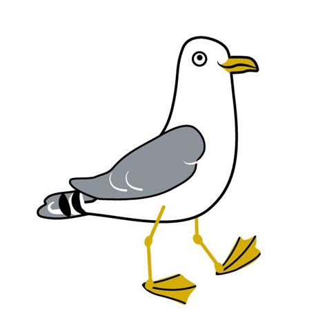 400+ Seagull Outline Cartoons Illustrations, Royalty-Free ... - iStock