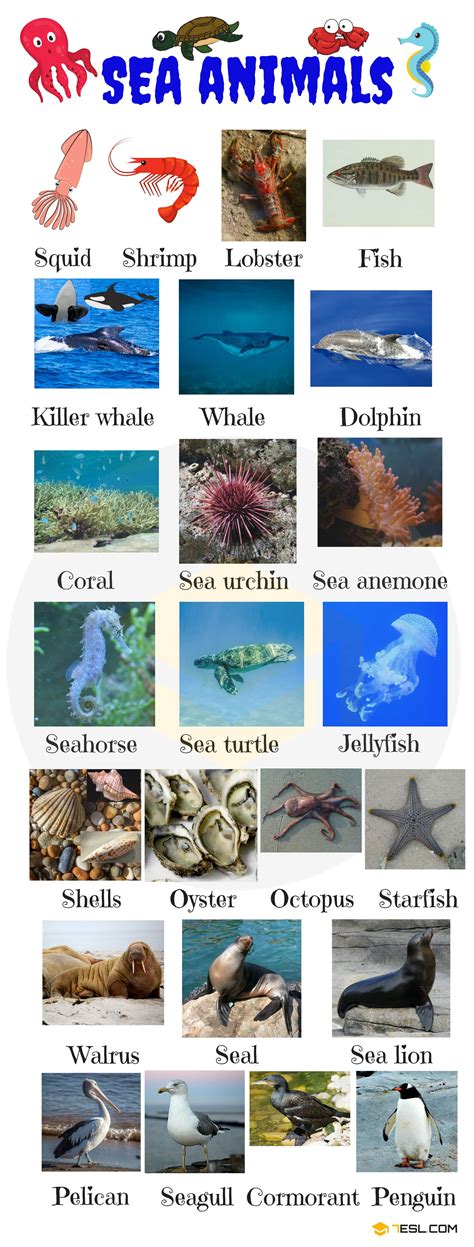 400 000 Free Sea Animal Amp Sea Images Sea Animals Pictures Printable - Sea Animals Pictures Printable