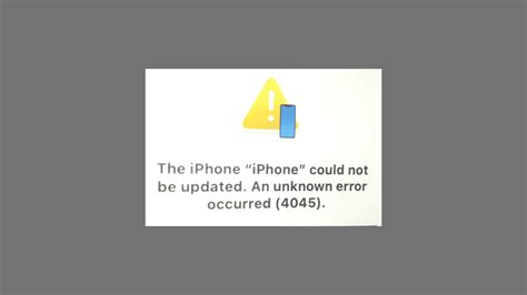 4045 Halı ve Koltuk Yıkama