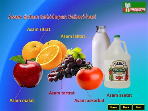 41 Contoh Asam Basa dalam Kehidupan Sehari-Hari - wintechmobiles.com