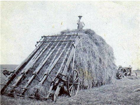 41 Harvesting Hay the Old Fashioned Way - blawenburgtales.com