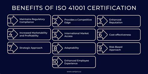 41001 Halı ve Koltuk Yıkama