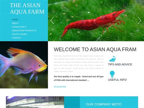 42 Trending Ornamental Fish Farming Businesses [2024]