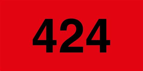 424 Halı ve Koltuk Yıkama