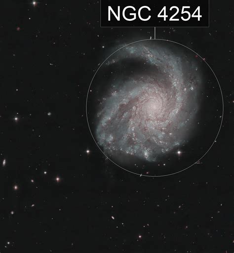 4254 Halı ve Koltuk Yıkama