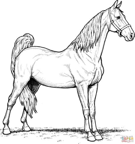 44 Horse Coloring Pages Free Pdf Printables Monday Race Horse Coloring Pages - Race Horse Coloring Pages