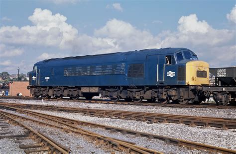 44009 Halı ve Koltuk Yıkama