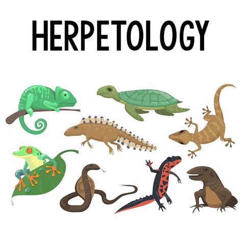 44081 PDFs | Review articles in HERPETOLOGY - muktibox.com