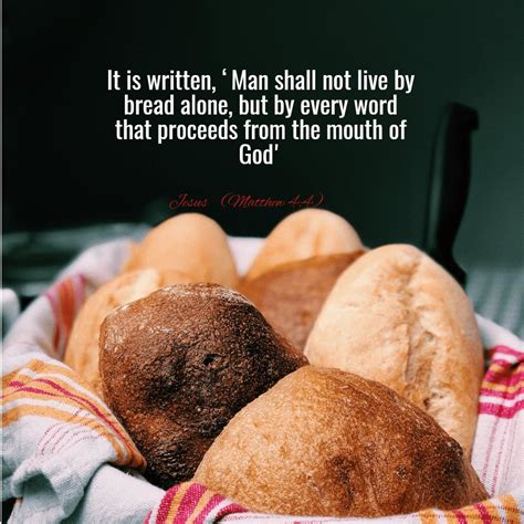 441 Words Essay on man does not live by bread alone