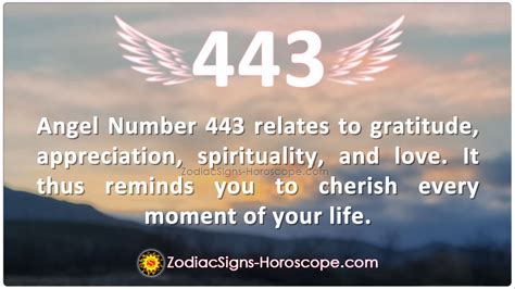 443 Angel Number