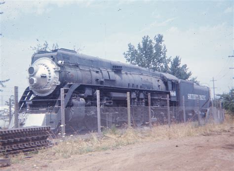 4449 Halı ve Koltuk Yıkama