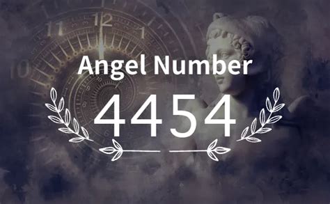 4454 Halı ve Koltuk Yıkama