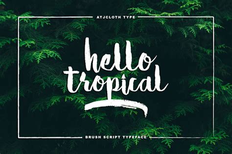 45+ Best Hawaiian Fonts (FREE / Premium) 2024 Hyperpix