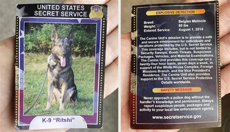 45+ Rocky Quotes Everyone Should Know Besides. 