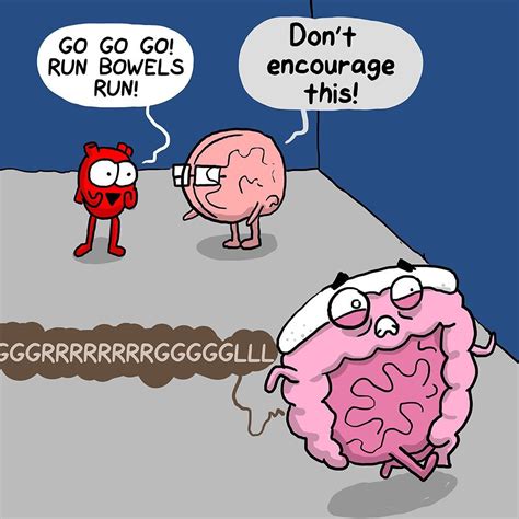 45 Awkward yeti.. ideas awkward yeti, awkward, yeti - Pinterest