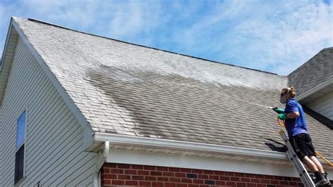 45 Best Roof Cleaning Companies - Bellevue WA