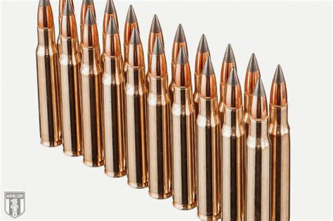Brett goes over the pros and cons of the .350 Legend and the .450 Bushmaster to help you decide which one is best for your hunting style!.