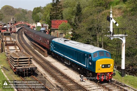 45114 Halı ve Koltuk Yıkama