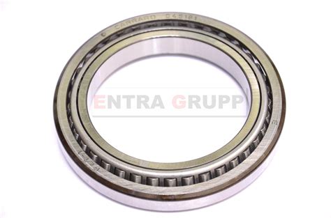 45181 Halı ve Koltuk Yıkama