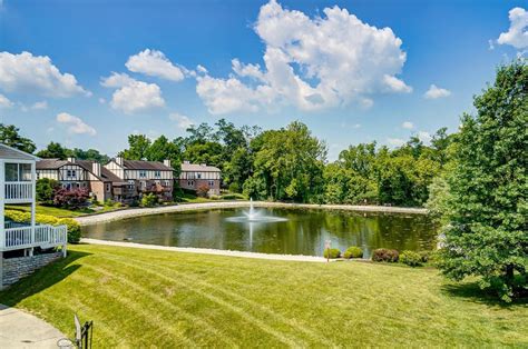 45233 Halı ve Koltuk Yıkama