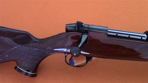 460 WEATHERBY MAGNUM THE WORLD