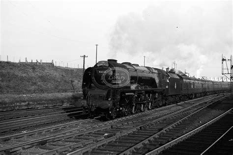 46232 Halı ve Koltuk Yıkama