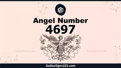 4697 Halı ve Koltuk Yıkama