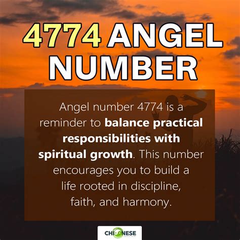 4774 Halı ve Koltuk Yıkama