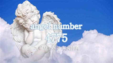 4775 Halı ve Koltuk Yıkama