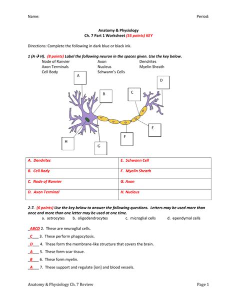 Full Download 48 Neurons Guide Answers 