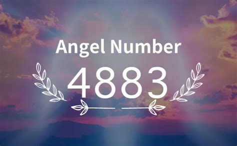 4883 Halı ve Koltuk Yıkama