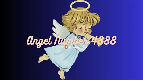 4888 Halı ve Koltuk Yıkama