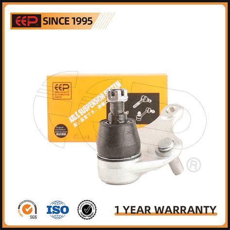 49095 Halı ve Koltuk Yıkama