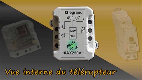 49107 Halı ve Koltuk Yıkama