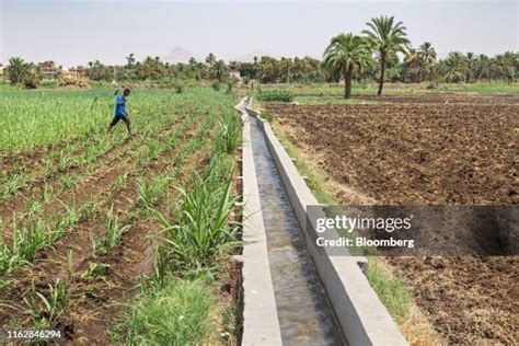 497 Egyptian Irrigation System Stock Photos, High-Res Pictures, and ... - wintechmobiles.com