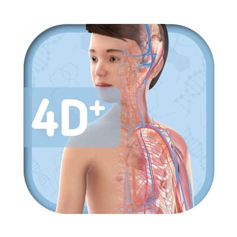 4D APP Emerald ESL