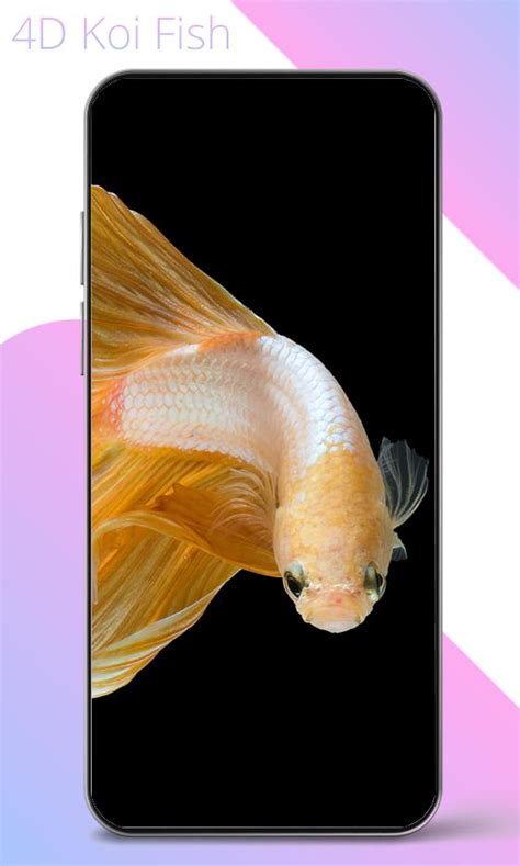 4D Koi Fish Live Wallpaper APK Download for Android 