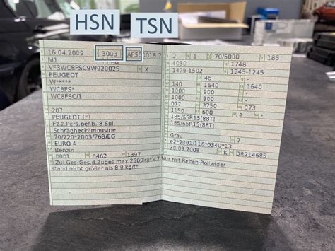 4MOTION - HSN/TSN