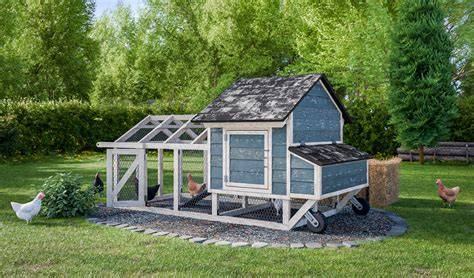 4x8 Small Chicken Tractor Plans For 6 Chickens - Easy … - raincitystudios.com